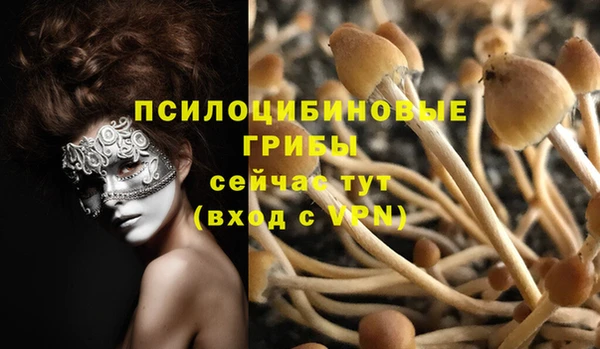 2c-b Лиски