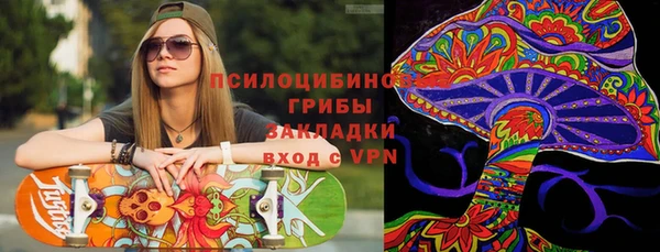 индика Майский
