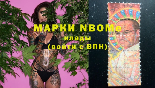 индика Майский