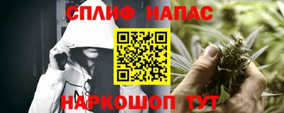 PSILOCYBIN Кинель