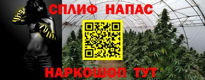 прущая мука Кингисепп