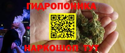 скорость Кимры