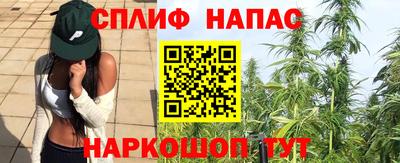 PSILOCYBIN Кинель
