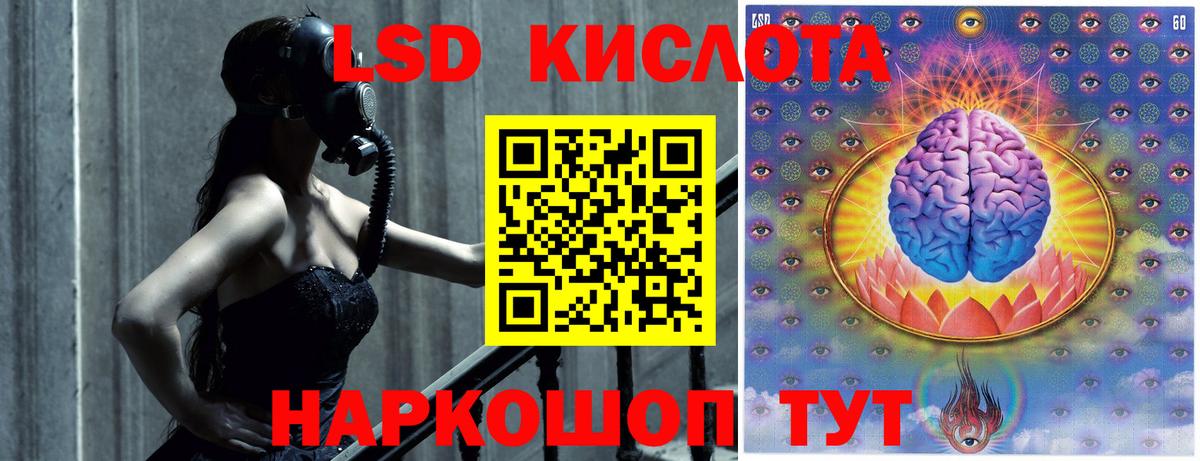 Новоалександровск  Лсд 25 экстази кислота  Лсд 25 экстази кислота  Вход с VPN 