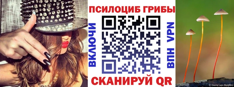 Галлюциногенные грибы Magic Shrooms Новоалександровск