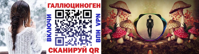 Псилоцибиновые грибы GOLDEN TEACHER  Новоалександровск 