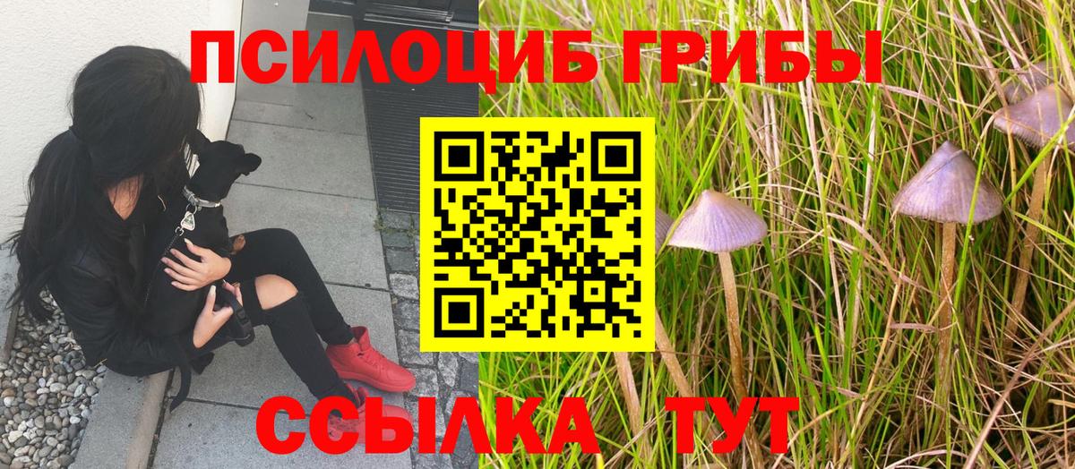 Новоалександровск  Галлюциногенные грибы мухоморы  как найти закладки  Вход с VPN 